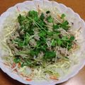 55才のおじさん's cooksnap of when they made カイワレとシーチキンのサラダ.