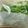 のんべぇヒロ's cooksnap of when they made サラダの野菜保存☆かおさんちver..