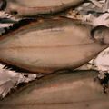 ねこのガストン's cooksnap of when they made 柳鰈(笹鰈）の塩麹焼き.