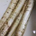 ささささ＆＊'s cooksnap of when they made 裏ワザ☆ごぼうの長期保存(れんこんも可).