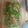 hitominime's cooksnap of when they made レンジで簡単！シャンタンちくわ.