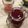 匡史さん's cooksnap of when they made ✿ぶどうジュース✿　時短で濃厚♪.