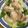 hadukisann's cooksnap of when they made 鶏むね肉とキャベツのオイスターマヨ炒め.