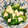 tomoeクック's cooksnap of when they made 柚子胡椒とチーズで小松菜洋風おひたし.