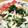 τомоко's cooksnap of when they made ほうれん草*長芋*ベーコンのマヨ和え.