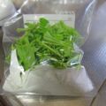 haruku221's cooksnap of when they made サラダの野菜保存☆かおさんちver..