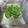 haruku221's cooksnap of when they made サラダの野菜保存☆かおさんちver..