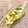 なつき☆ミ's cooksnap of when they made 簡単☆冷凍ホタテと長ネギのバター炒め.