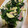 Reo14☆'s cooksnap of when they made きのことほうれん草のバター炒め.
