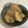 papikun's cooksnap of when they made 母の味◆八つ頭の煮物.