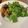 エイビーズ's cooksnap of when they made 【簡単】シーザードレッシング　もどき.