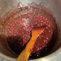 酉出汁子's cooksnap of when they made 粒あん　(アサヒ活力鍋)粒しっかり.