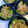 yu228's cooksnap of when they made ピーマンとしらすのごま油炒め.