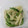 tamago大好き's cooksnap of when they made 簡単★大根とピーマンの炒め物.