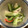 ミルクボール's cooksnap of when they made 味付めかぶときゅうり和え.