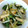 xyzクック's cooksnap of when they made 皮もご馳走！大根皮と小松菜のごま塩炒め.