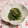 バカリャウ's cooksnap of when they made 旬！春菊の梅マヨおかか和え.