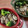 ヌーシ's cooksnap of when they made 牡蠣ときのこのココットカマン.