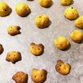 momoka0225's cooksnap of when they made コロコロ〇簡単♪かぼちゃクッキー♪.