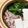 しろくお's cooksnap of when they made ほうれん草 豚肉 豆腐 で 常夜鍋.