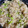 べあーるぶい's cooksnap of when they made 簡単！冷凍枝豆で！枝豆ごはん☆.