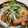 まりえもん☆'s cooksnap of when they made ほったらかし＊鶏手羽元と大根のさっぱり煮.
