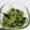 ちみぃちみぃ's cooksnap of when they made 水菜のお浸しの一番美味しい食べ方.