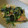 なち☆★'s cooksnap of when they made 鮭とほうれん草のクリーム煮.