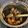 スイスおじさん☆'s cooksnap of when they made 牡蠣の佃煮.