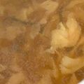 MULA's cooksnap of when they made 簡単!キャベツと塩昆布のコンソメスープ.
