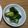 みぃくんのママ's cooksnap of when they made 【保育園給食】ポリポリきゅうり.