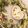クックS5N2AF☆'s cooksnap of when they made クリスマスリースサラダ.