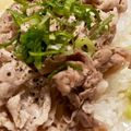 はなのかくめいじ's cooksnap of when they made レモンでさっぱり！簡単ガッツリ塩ダレ豚丼.