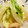 はなのかくめいじ's cooksnap of when they made はくさい　の　お茶漬け和え.