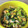 いんがすんがすん☆'s cooksnap of when they made 小松菜と油揚げのふりかけ.