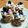 おらんでう～たん's cooksnap of when they made ビスケットケーキ.