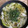 ヴィーナスけい's cooksnap of when they made シラスと長ネギのアヒージョ.