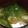 ヨシヨッシー's cooksnap of when they made ちくわとほうれん草のお味噌汁！.