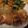 クックP0PMHK☆'s cooksnap of when they made 皮パリパリ！ チキンソテー.