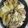 クックYW5CXV☆'s cooksnap of when they made ストウブ★豚バラと白菜のミルフィーユ鍋.