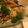 まいぴよたん's cooksnap of when they made アボカドと海老のタルタル風前菜。.