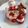 こまりsan's cooksnap of when they made 離乳食中期後期☆クリスマスケーキ.