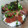 ayako0527's cooksnap of when they made はまちの刺身 韓国風漬け.