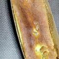 cyobindish's cooksnap of when they made トースター de ふわふわスポンジケーキ.