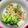 muumi☆'s cooksnap of when they made さっぱり☆ブロッコリーの梅マヨおかか和え.