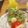 non520's cooksnap of when they made アボカドのツリーディップ.