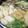 クック6DDPP8☆'s cooksnap of when they made きりたんぽ鍋.