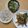 2児ママみきてぃ's cooksnap of when they made かりかりシラスのせ☆冷ややっこ.
