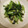 ピーナッツ子♪'s cooksnap of when they made こむらがえり対策！わかめと小松菜の炒め物.