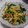 きらり流れ星's cooksnap of when they made ほうれん草の柚香和え.